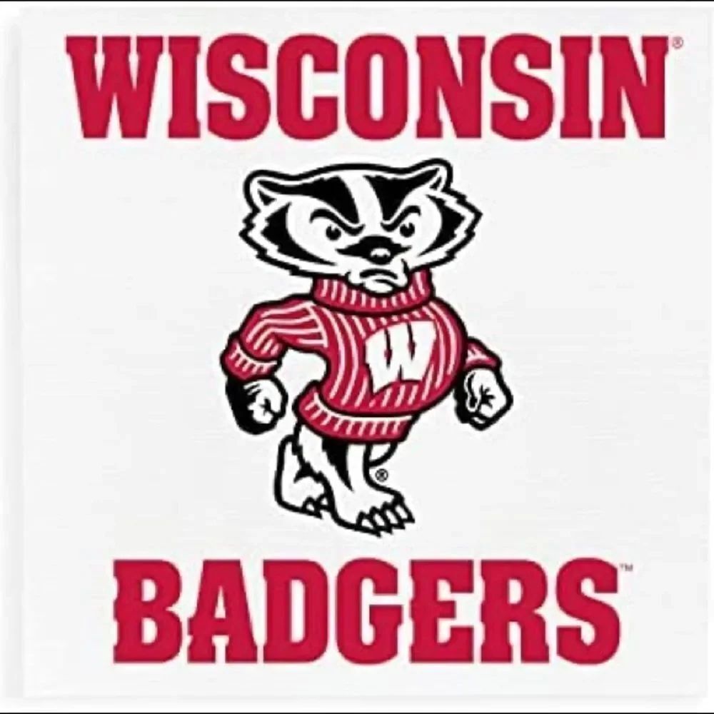 Wisconsin Badger 3 Pc Biggest Fan Kit • NWT - Picture 2 of 7